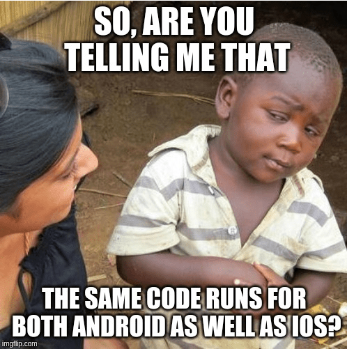 Native and Hybrid Mobile App Development