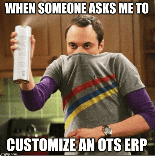 OTS ERP customization challenges