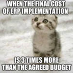 ERP implementation problem meme